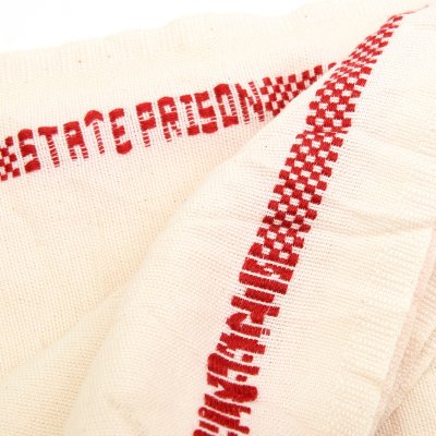 Polishing Cloth STATE PRISON